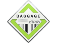 Baggage Baggage image
