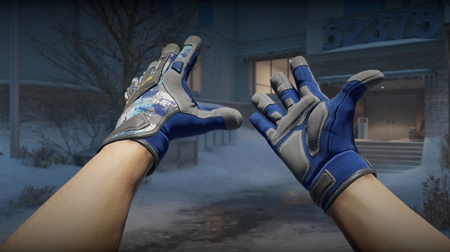 Preview image 3 of ★ 专业手套 | 大腕 (崭新出厂)