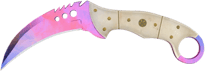 Doppler Phase 1