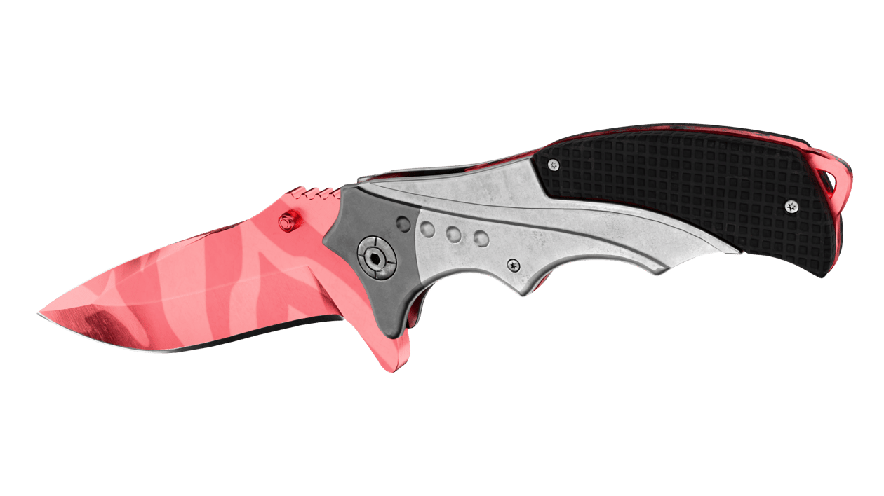 Preview image 3 of ★ Nomad Knife | Slaughter (Factory New)
