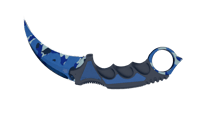 Karambit | Bright Water image