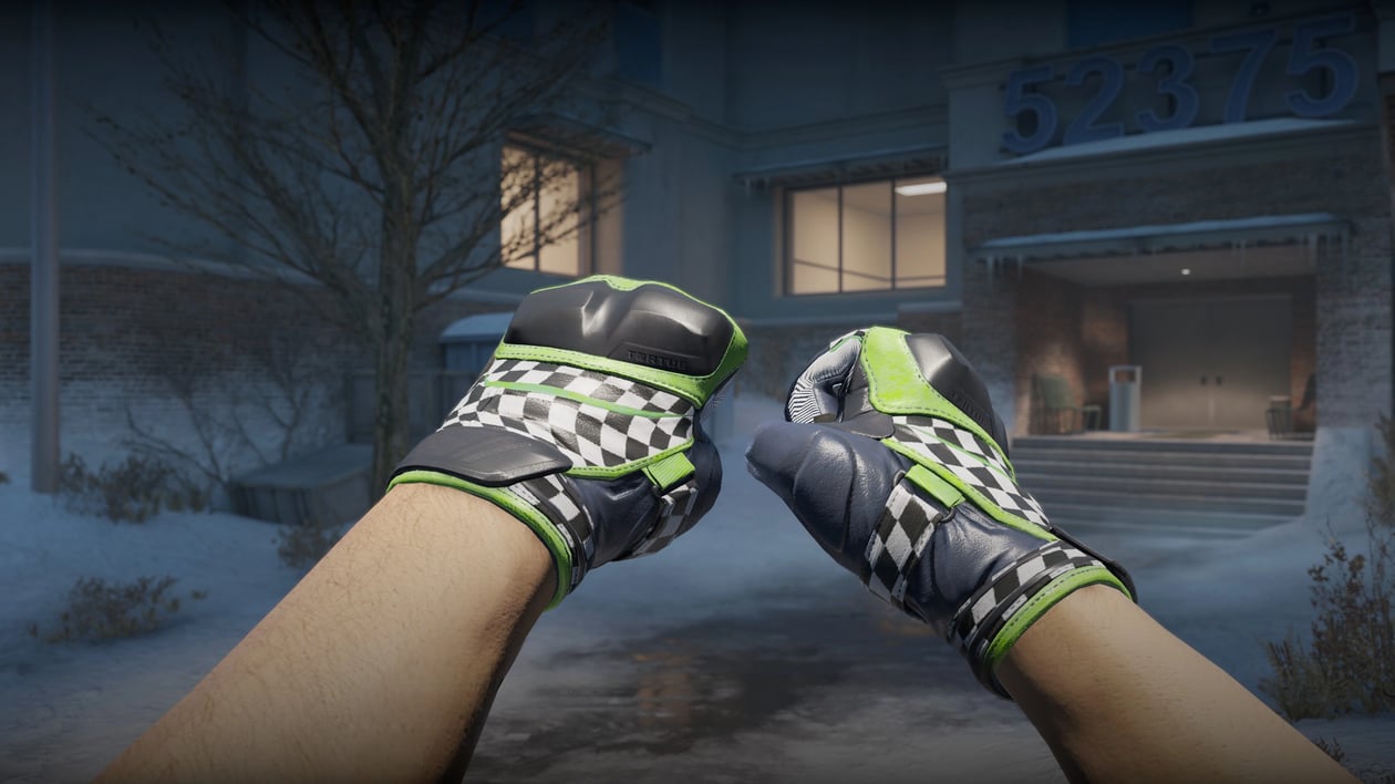 Preview image 3 of ★ Moto Gloves | Finish Line (Factory New)