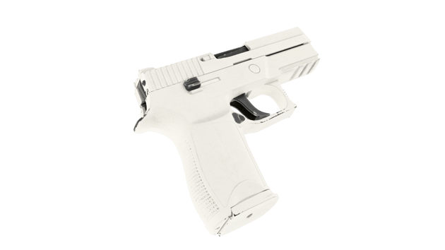 Preview image 4 of P250 | 银装素裹 (崭新出厂)