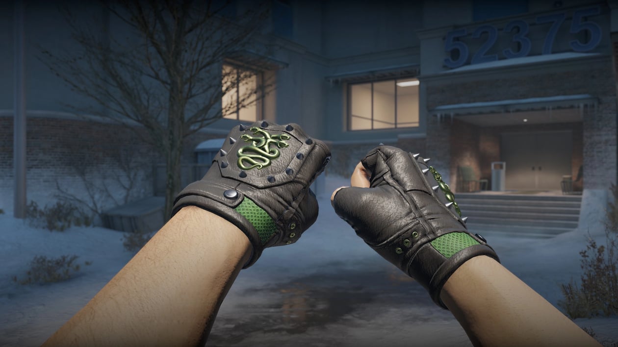 Preview image 4 of ★ Hydra Gloves | Emerald (Factory New)