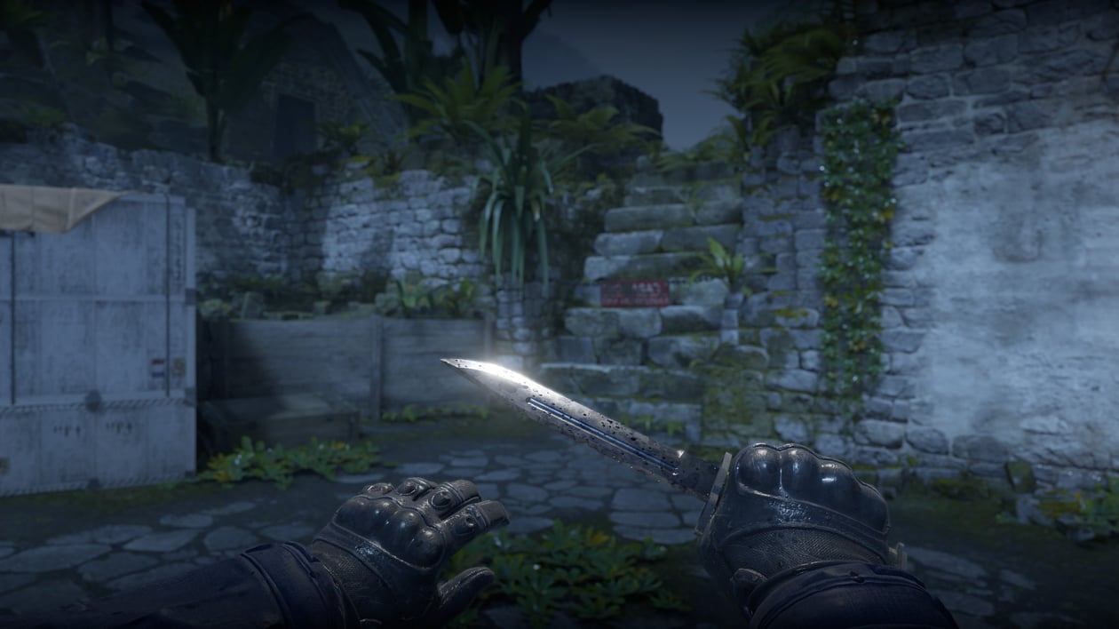 Preview image 6 of ★ Bayonet | Stained (Factory New)
