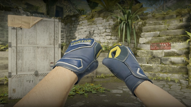 Preview image 3 of ★ Guantes de especialista | Agente de campo (Recién fabricado)