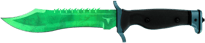 Bowie Knife | Gamma Doppler Emerald image