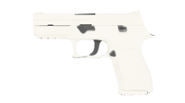 P250 | Whiteout image