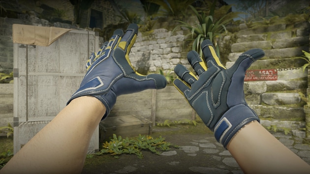 Preview image 2 of ★ Guantes de especialista | Agente de campo (Recién fabricado)