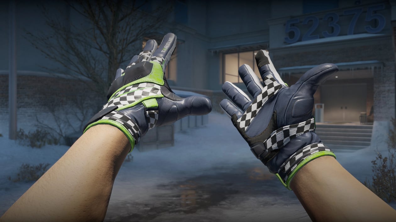 Preview image 2 of ★ Moto Gloves | Finish Line (Factory New)