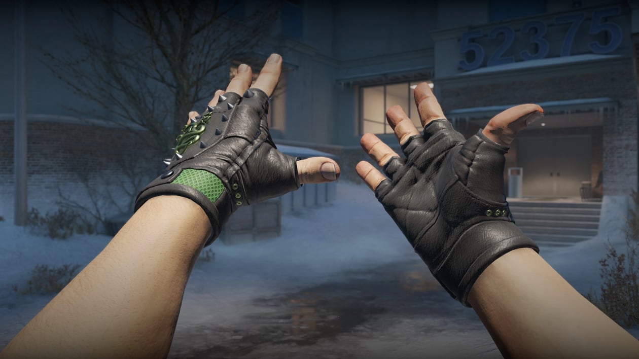 Preview image 3 of ★ Hydra Gloves | Emerald (Factory New)