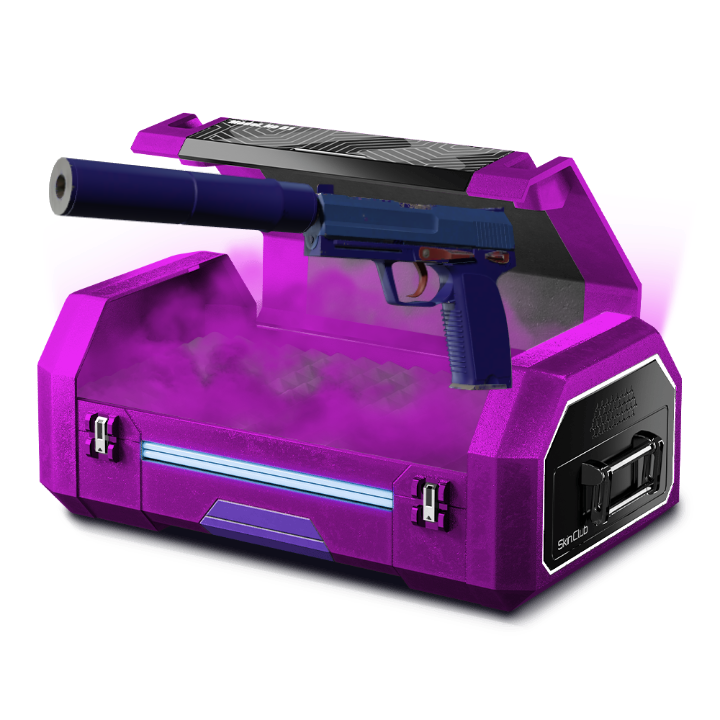 Pistol case!