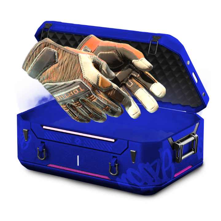Chispas case