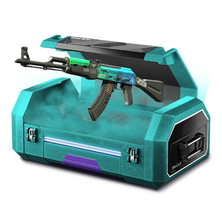 GREAT AND CHEAP SKIN