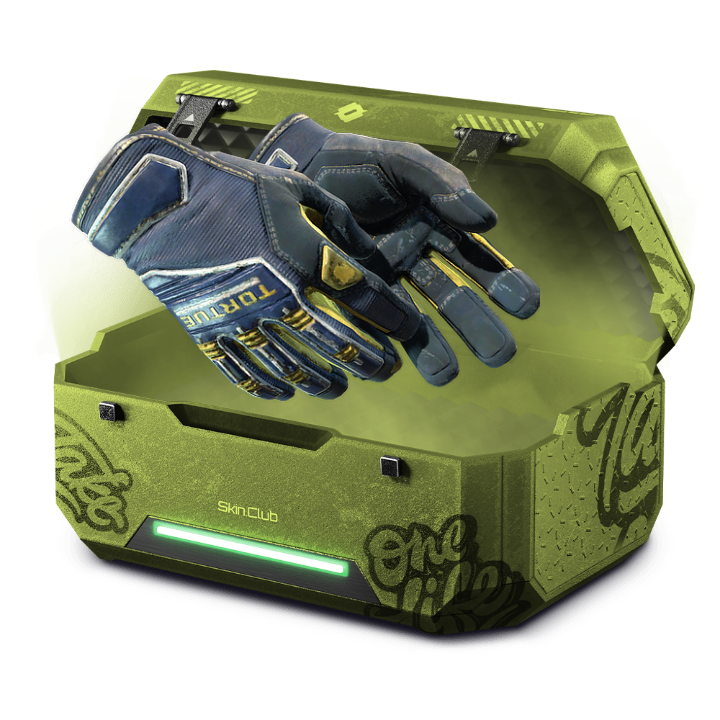 50% Glove Case