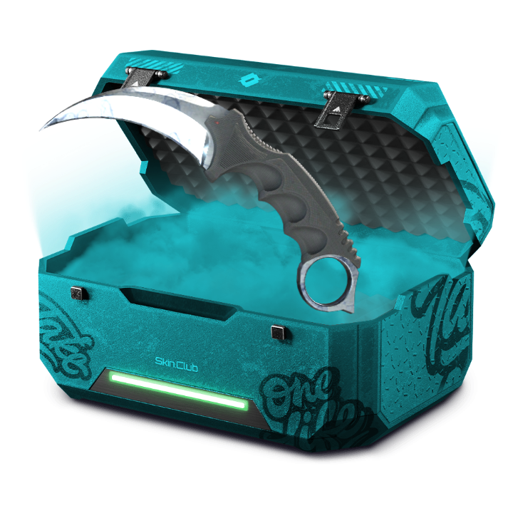 THEREALCASE