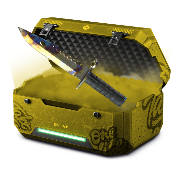 Revolver Case