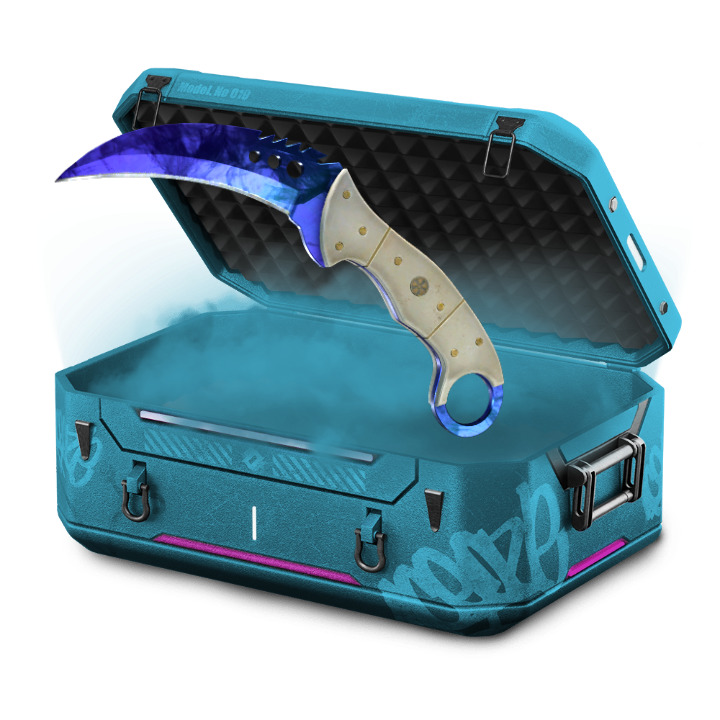 13,5% Case Blue Hunt
