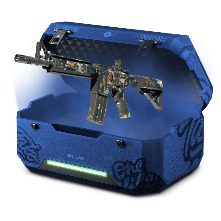 Case for lvl 10 People