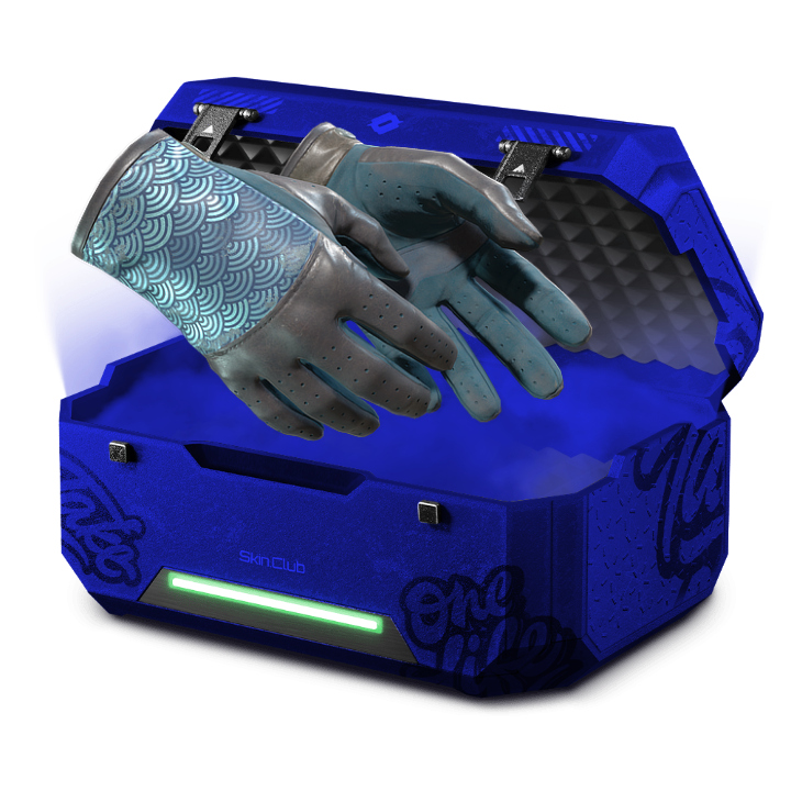 15% BLUE CASE +REP
