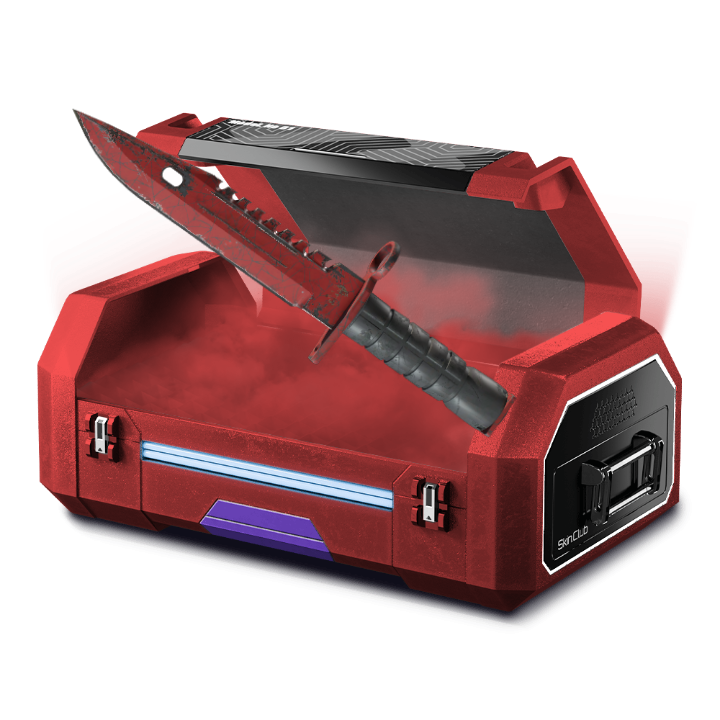 10% Cheap case