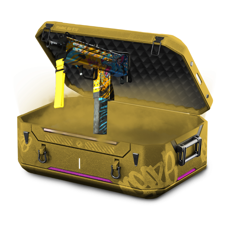 MP Case