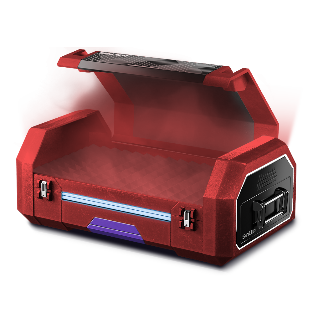133 armory skin
