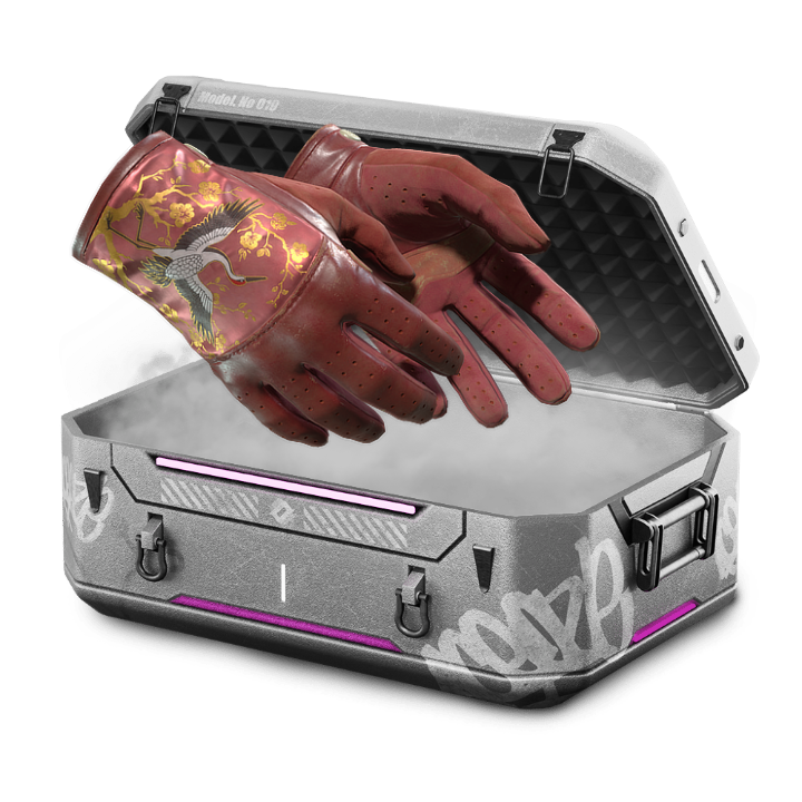 20% Gloves FLY