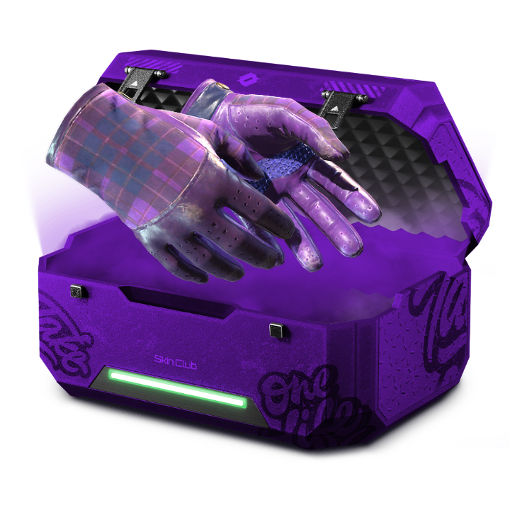 10% PURPLE GLOVES