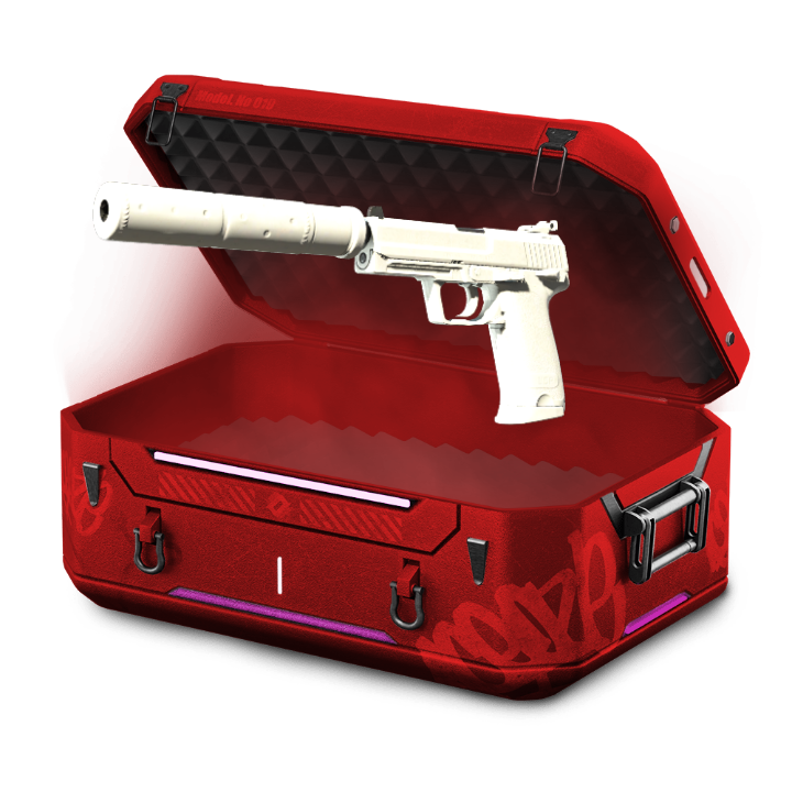 Best USP Case