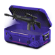 G.A.Y case