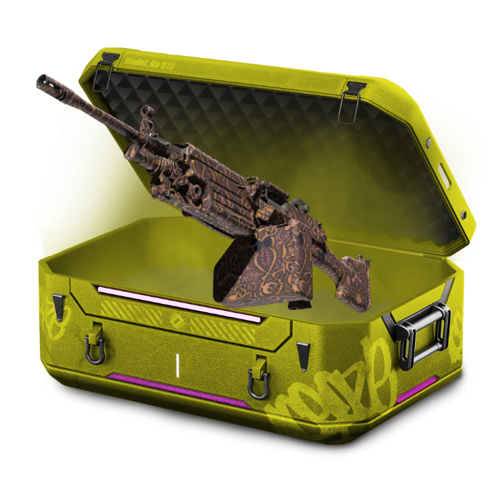 WrappedNegev!