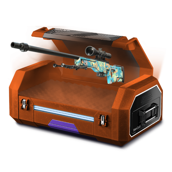 Best AWP case ⚡️
