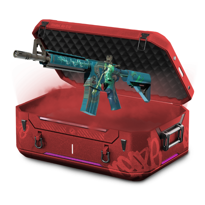 M4A4 2V2 BATTLE (TOANF)