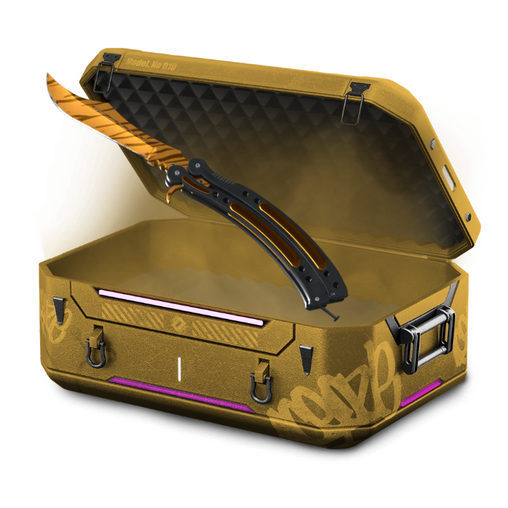 Big Cat Case