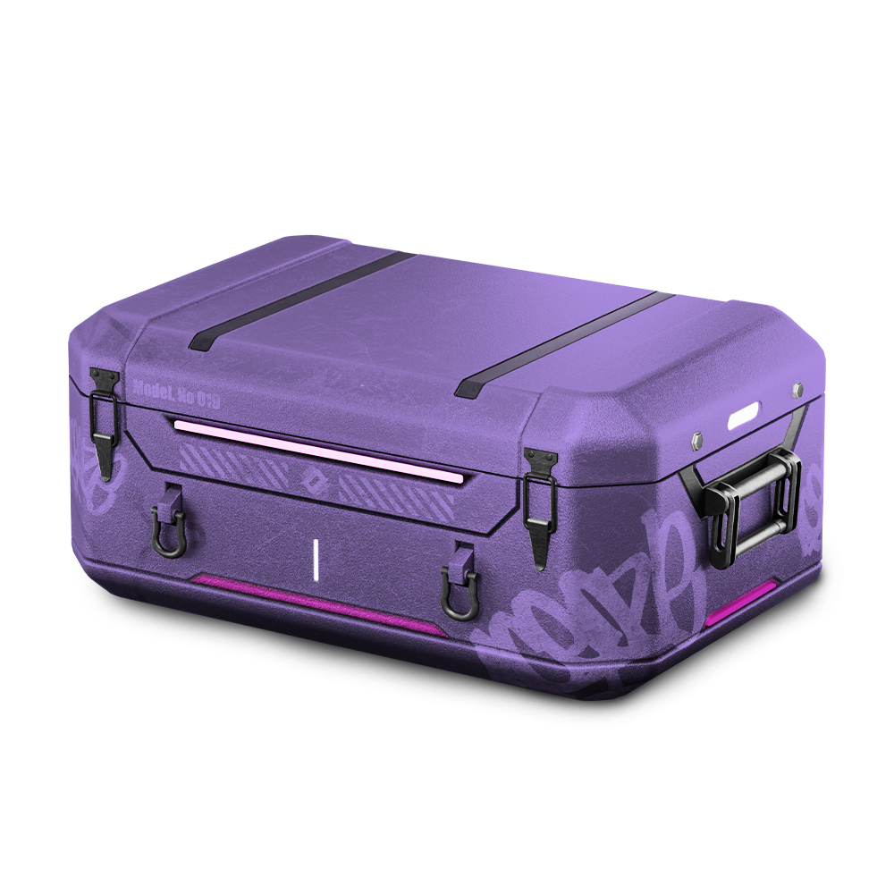 20% Profit Case