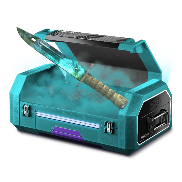 Old Case