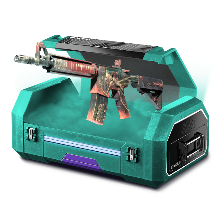 Cheap good skins :)