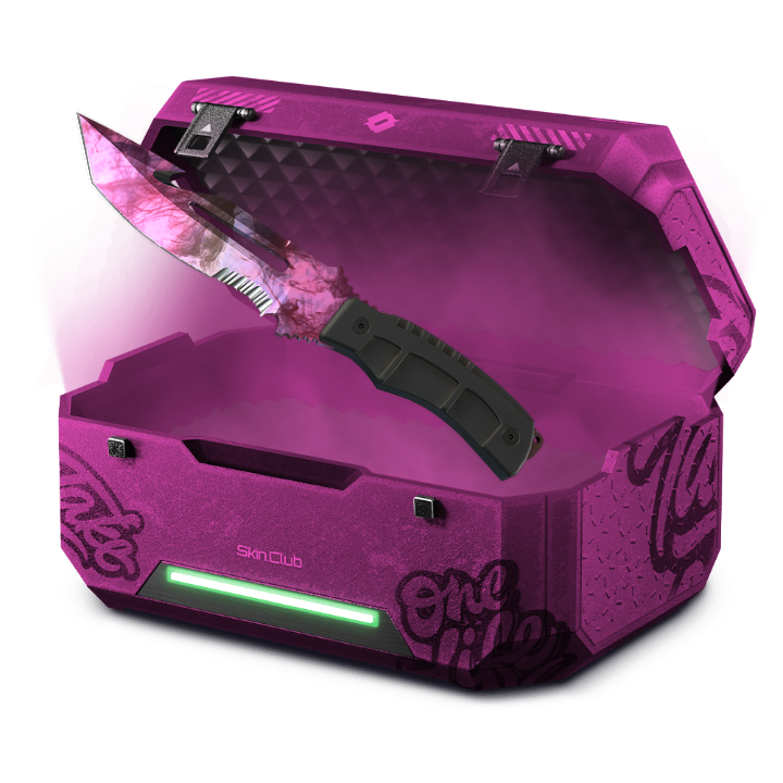 30% KNIFE CASE