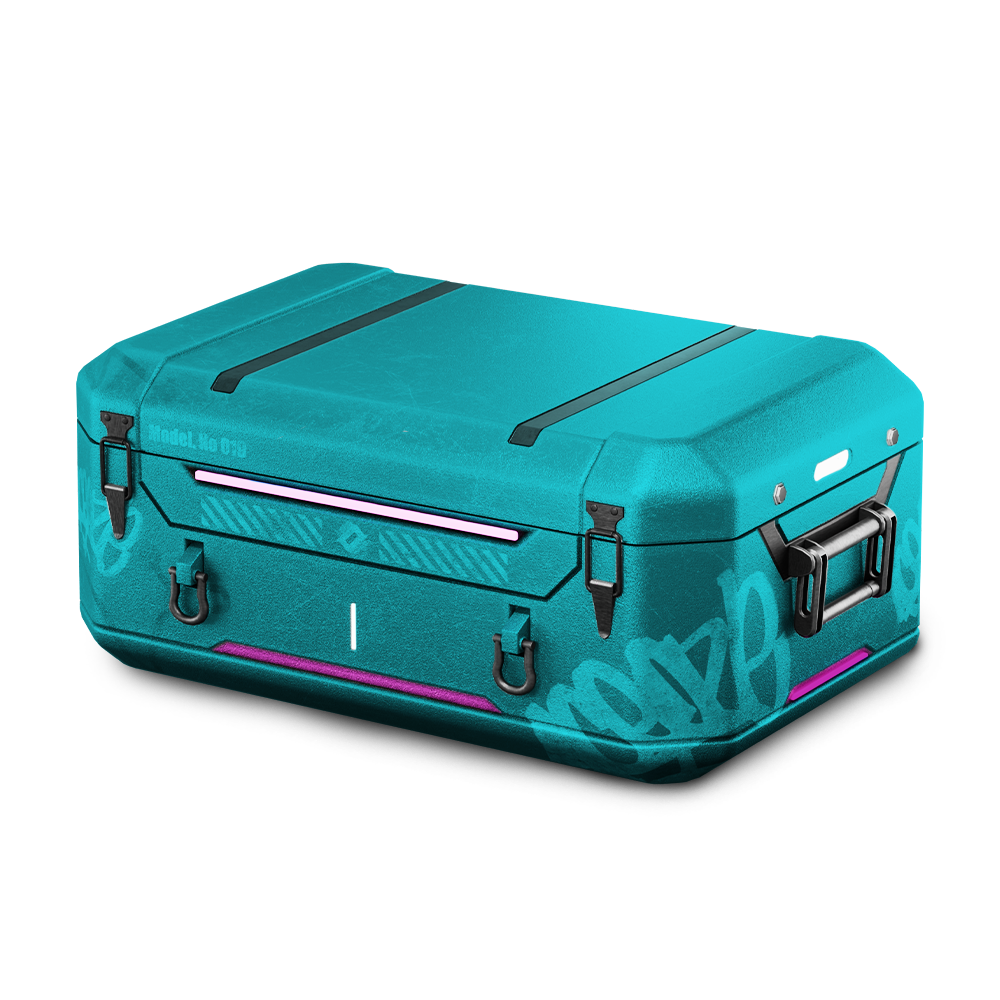 1 lucky case