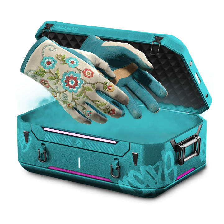 NOVA X MELODIC lv 60 case