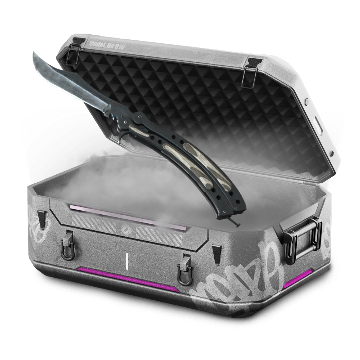 BLACK & WHITE CASE