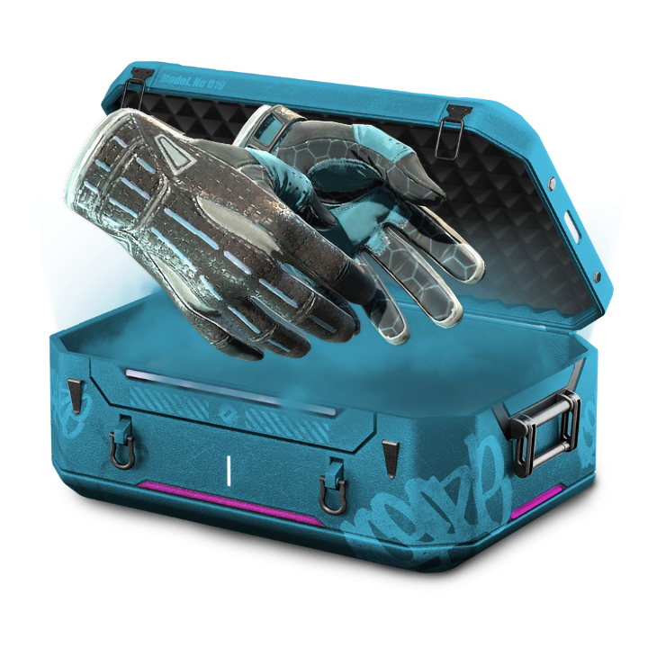 PugLife: Matt's Case