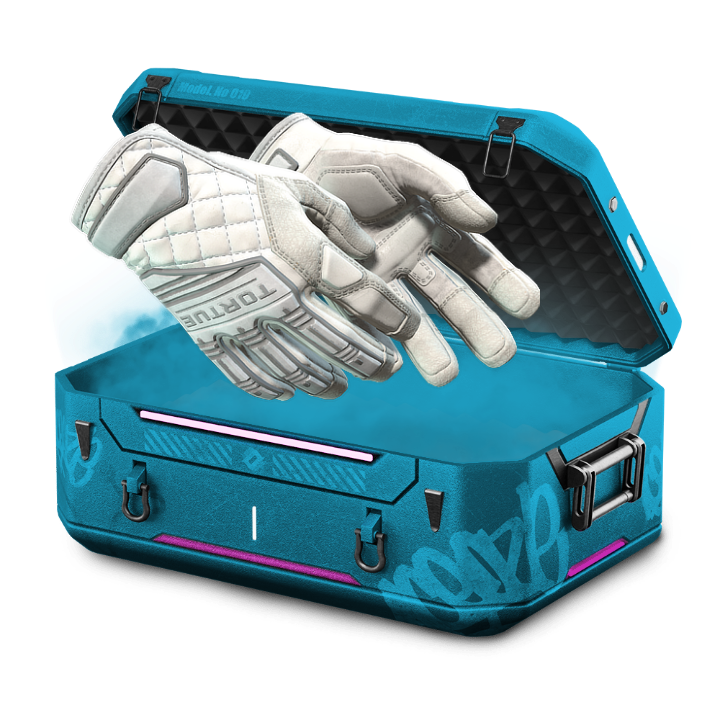 Ultimate Glove Case 10%