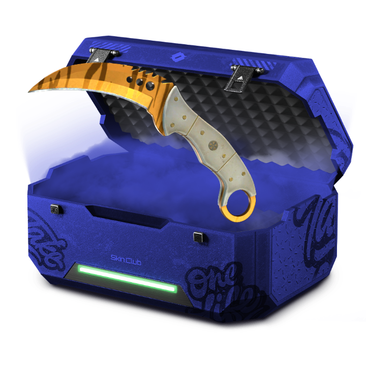 Echoo Case