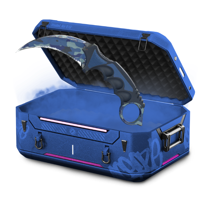 The fun case