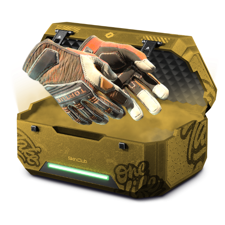 10% GLOVES / PATCH +REP