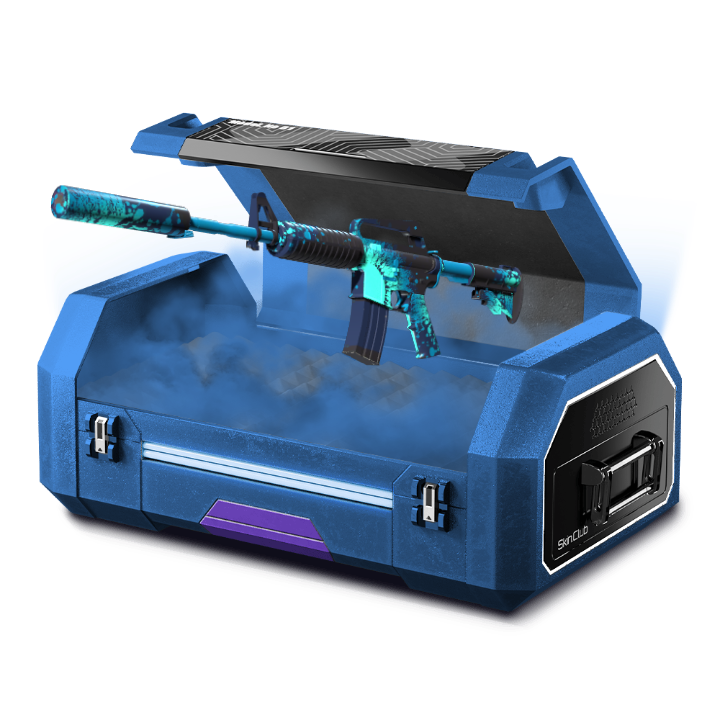 100% M4A1 CASE