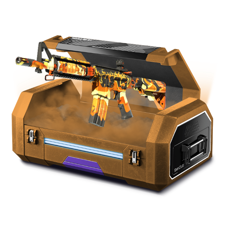 UPGRADE CASE