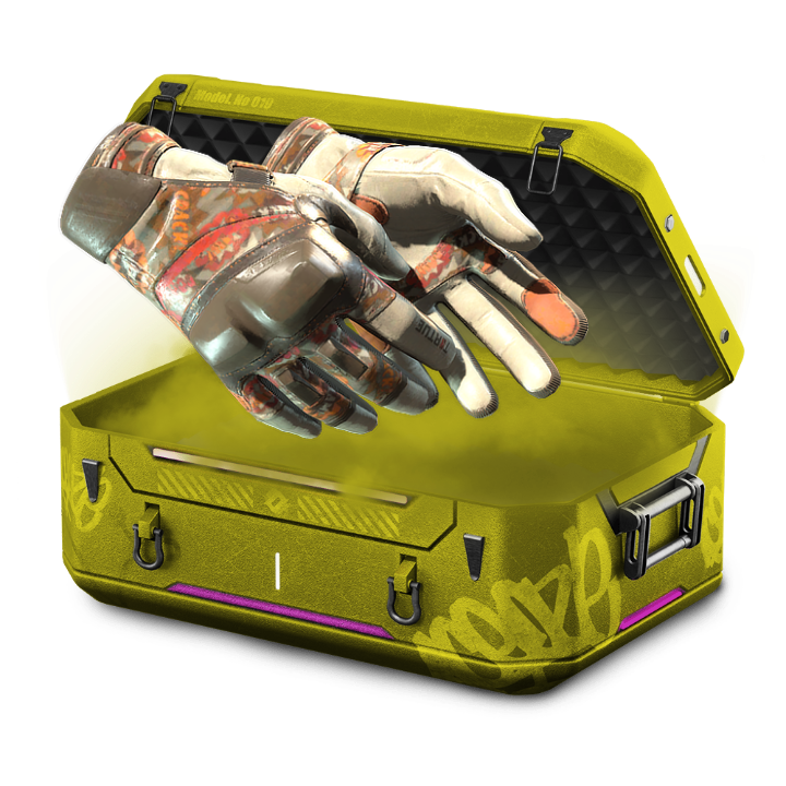 Level 60 Case